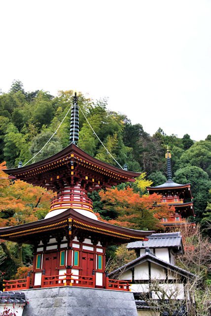 🏯 청룡사 (쇼류지) - 시코쿠 순례 36번 이미지 5